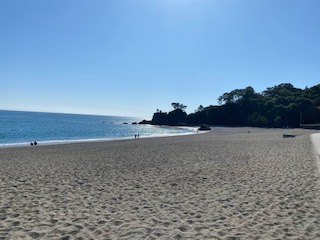 桂浜　浜辺の写真