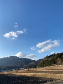 山